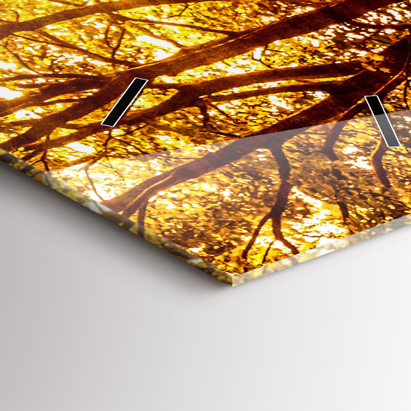 Orologio verticale Paesaggio forestale al sole