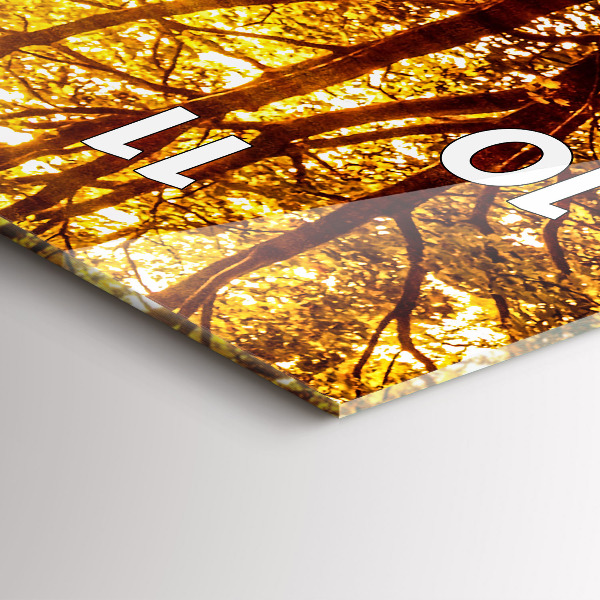 Orologio verticale Paesaggio forestale al sole