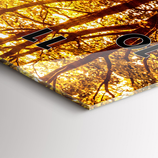 Orologio verticale Paesaggio forestale al sole