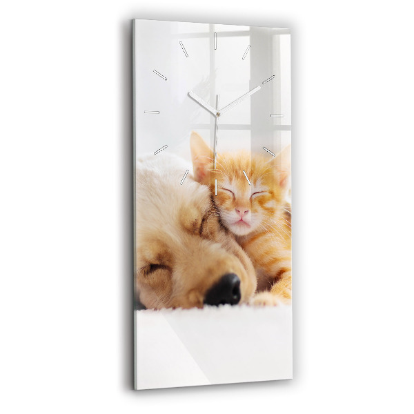Orologio verticale Gatto e cane addormentati