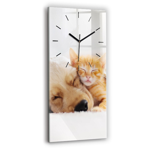 Orologio verticale Gatto e cane addormentati