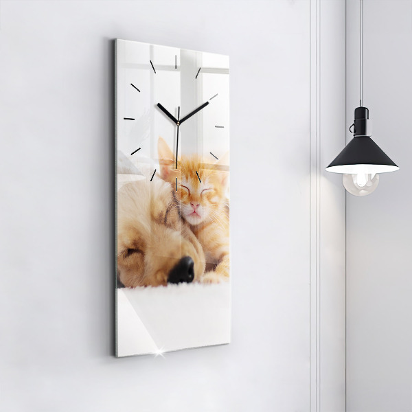 Orologio verticale Gatto e cane addormentati