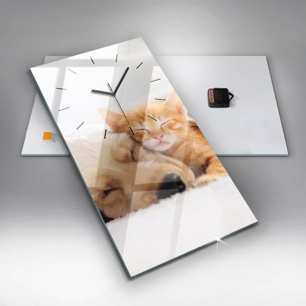 Orologio verticale Gatto e cane addormentati