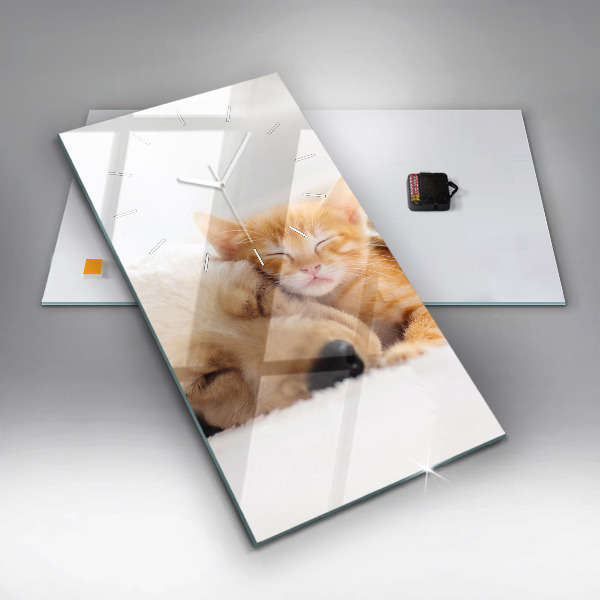 Orologio verticale Gatto e cane addormentati