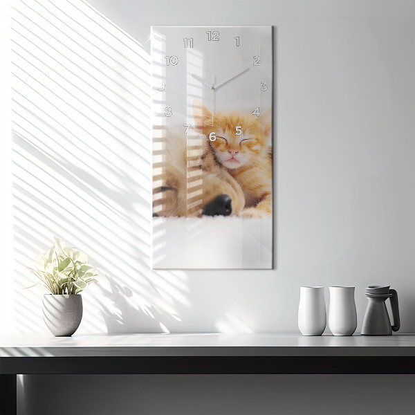 Orologio verticale Gatto e cane addormentati