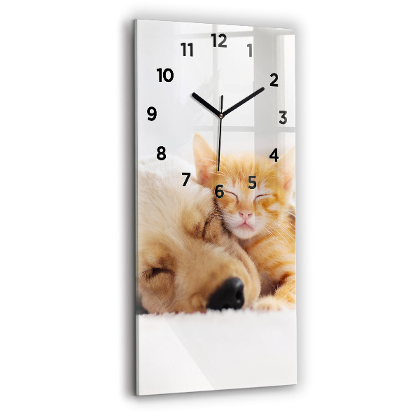 Orologio verticale Gatto e cane addormentati