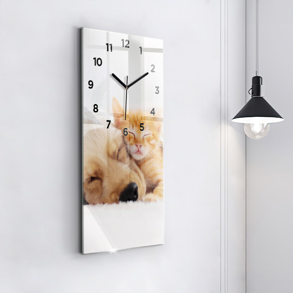Orologio verticale Gatto e cane addormentati