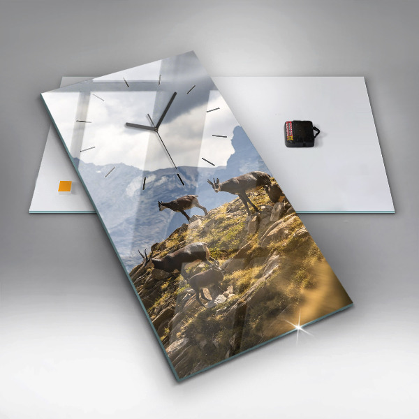 Orologio verticale in vetro Capra in Valle d'Aosta