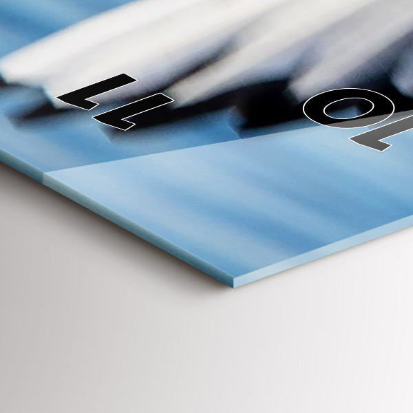 Orologio verticale Gabbiani a Gdynia