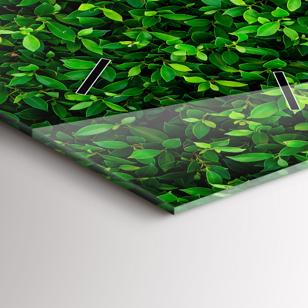 Orologio verticale Foglie di siepe