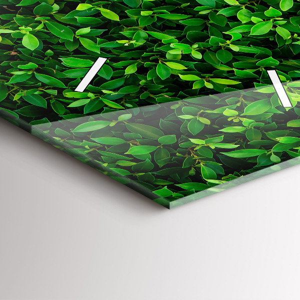 Orologio verticale Foglie di siepe