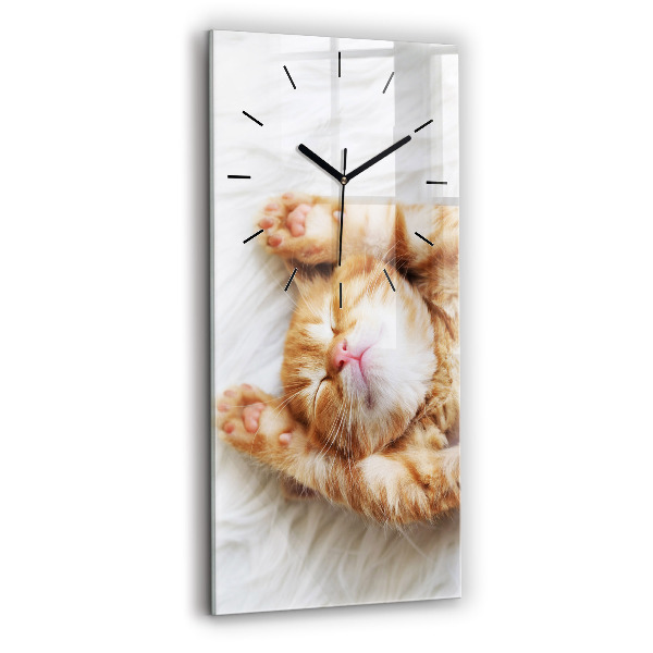 Orologio verticale Gattino addormentato