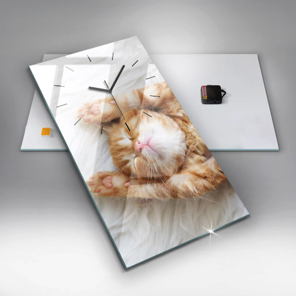 Orologio verticale Gattino addormentato