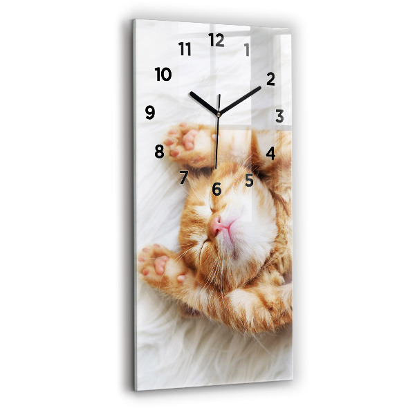 Orologio verticale Gattino addormentato