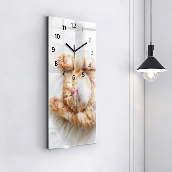 Orologio verticale Gattino addormentato