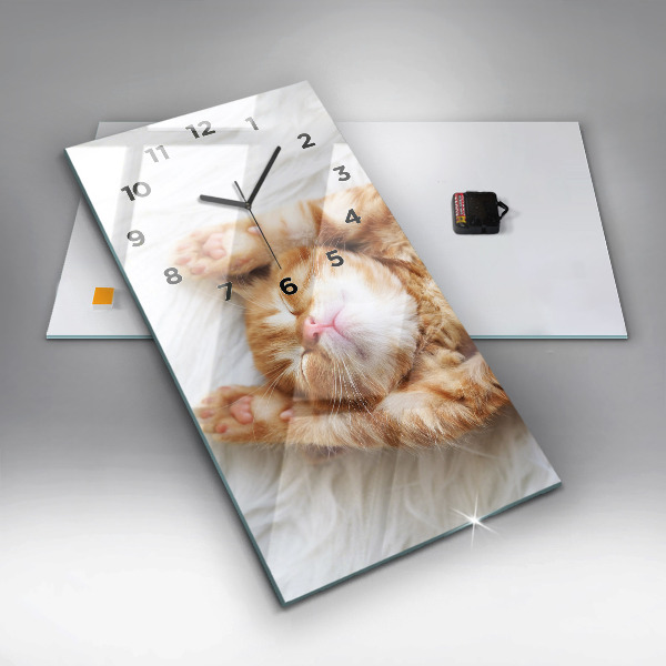 Orologio verticale Gattino addormentato