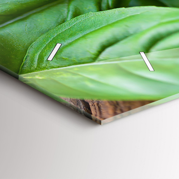 Orologio rettangolare Foglie di basilico