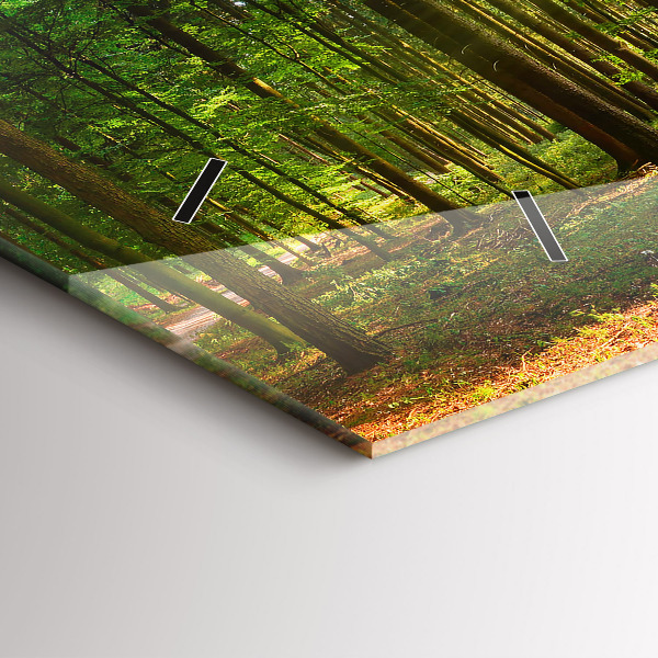 Orologi orizzontali Alba nella foresta