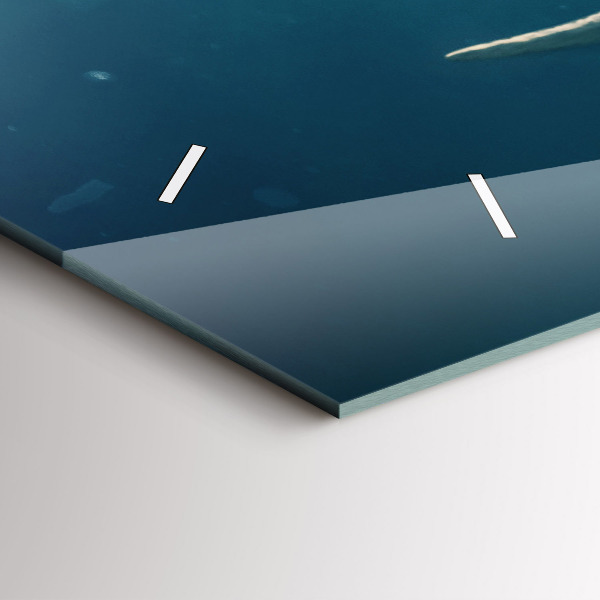 Orologi orizzontali Elefante che nuota nell'oceano