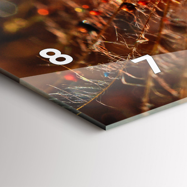 Orologio rettangolare Dente di leone con rugiada