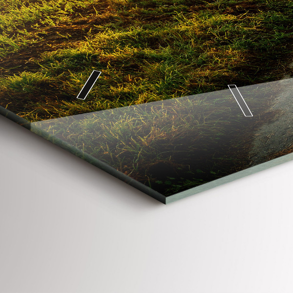 Orologi orizzontali Nebbia all'alba