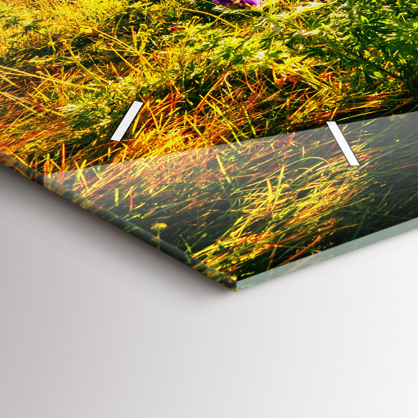 Orologi orizzontali Prato di lavanda