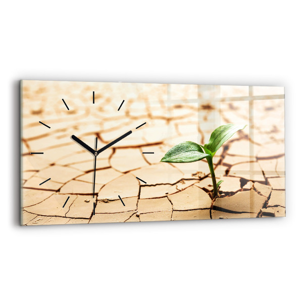 Orologio rettangolare Una pianta in terreno secco