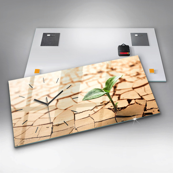 Orologio rettangolare Una pianta in terreno secco