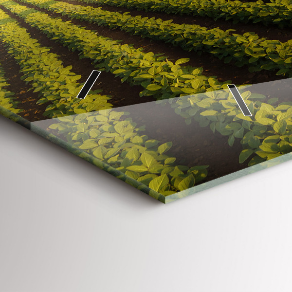 Orologi orizzontali Trattore che irrora un campo