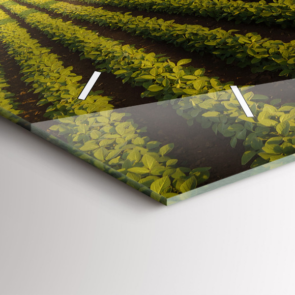 Orologi orizzontali Trattore che irrora un campo