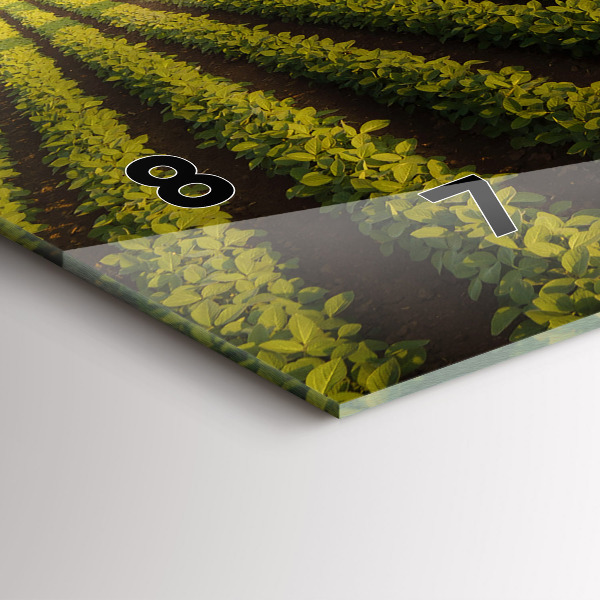 Orologi orizzontali Trattore che irrora un campo