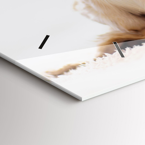 Orologi orizzontali Gatto e cane addormentati