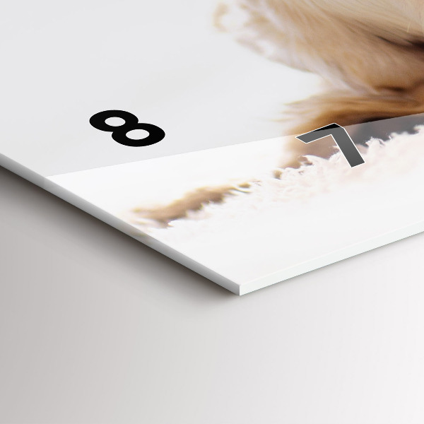 Orologi orizzontali Gatto e cane addormentati