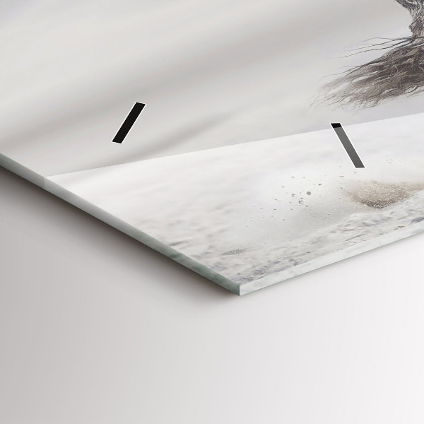 Orologio rettangolare Cavallo bianco al galoppo