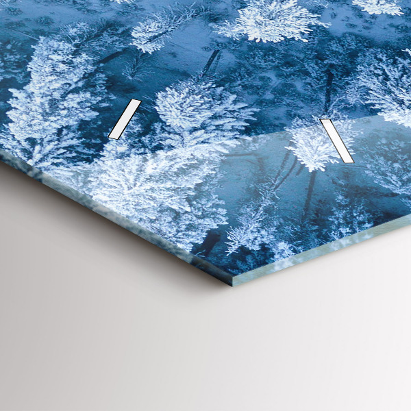 Orologi orizzontali Foresta vista dall'alto Drone