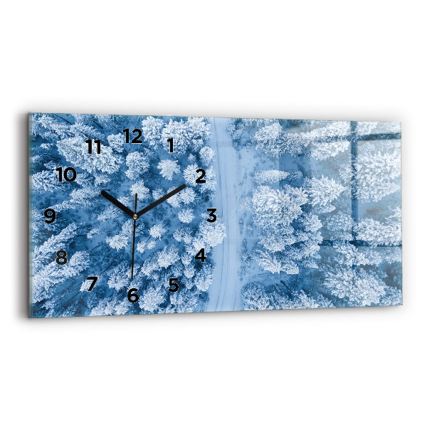 Orologi orizzontali Foresta vista dall'alto Drone