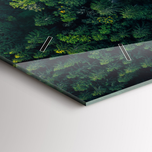 Orologi orizzontali La foresta vista dall'alto