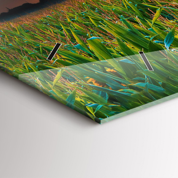 Orologi orizzontali Girasoli nel prato