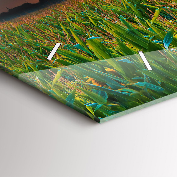 Orologi orizzontali Girasoli nel prato