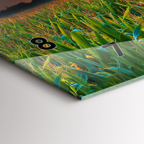 Orologi orizzontali Girasoli nel prato