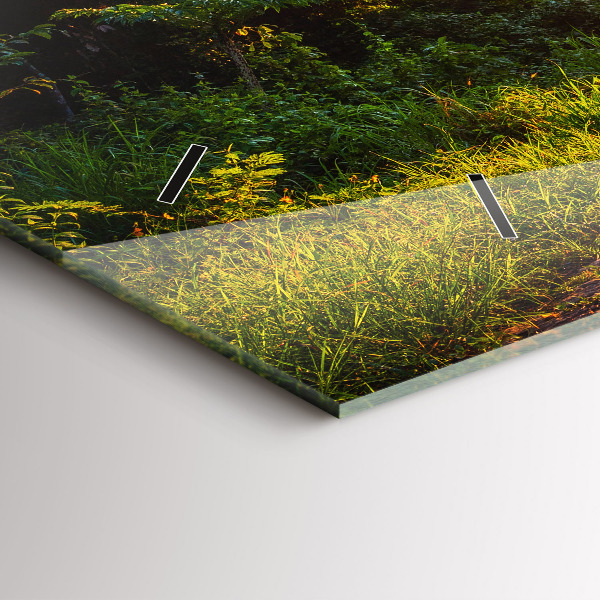 Orologio rettangolare Parco Surat Thani Thailandia