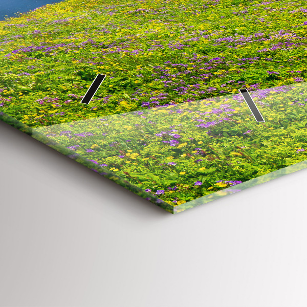 Orologi orizzontali Riserva di Hornstrandir Islanda