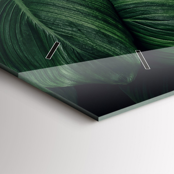 Orologi orizzontali Monstera tropicale