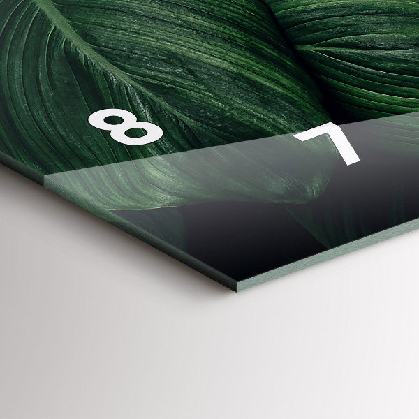 Orologi orizzontali Monstera tropicale