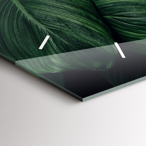 Orologi orizzontali Monstera tropicale