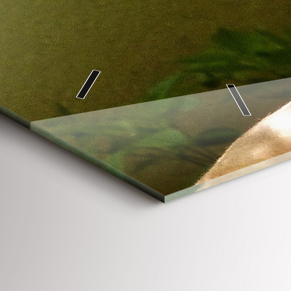 Orologi orizzontali Ritratto di un leone