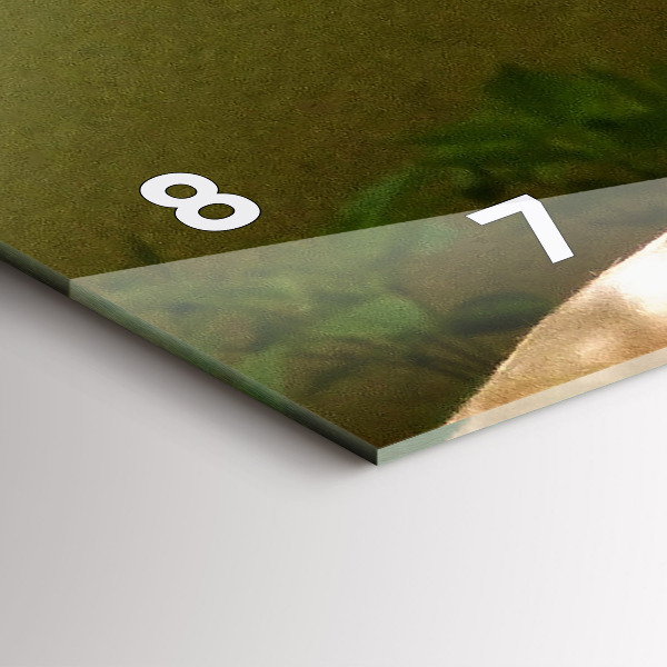 Orologi orizzontali Ritratto di un leone