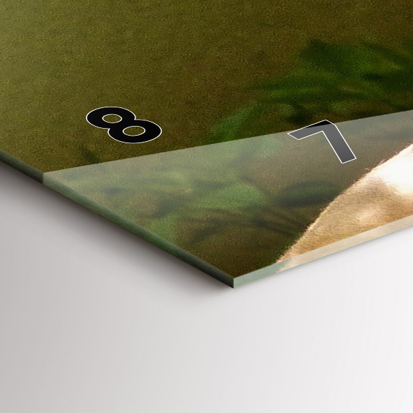 Orologi orizzontali Ritratto di un leone