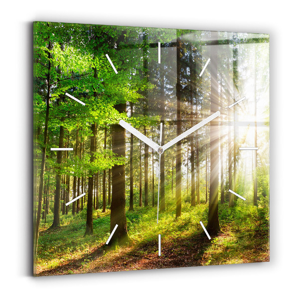 Orologio quadrato in vetro Alba nella foresta
