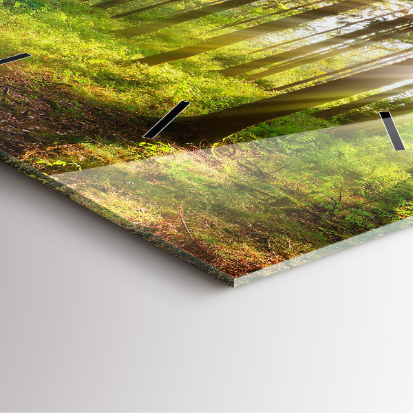 Orologio quadrato in vetro Alba nella foresta